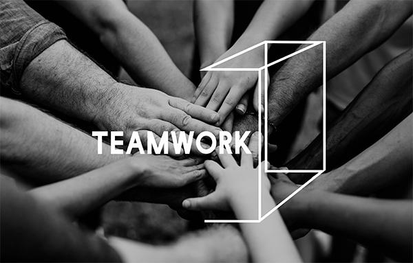 Virtue Analytics Team